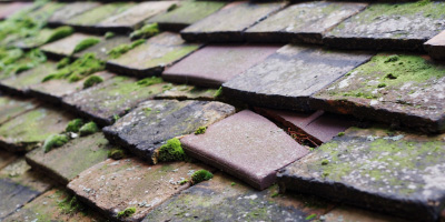 Berwick roof repair costs